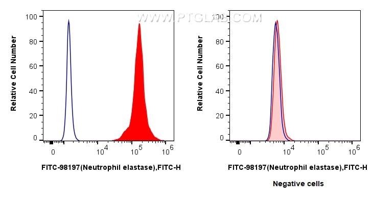 Flow cytometry (FC) experiment of mouse bone marrow cells using FITC Plus Anti-Mouse Neutrophil elastase Rabbit Re (FITC-98197)