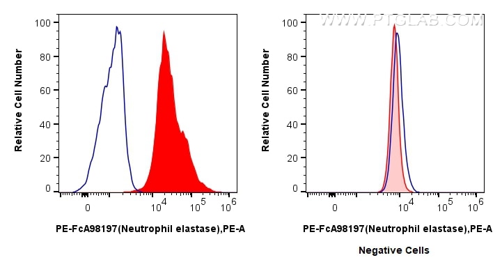 FC experiment of mouse bone marrow cells using PE-FcA98197 Flow cytometry (FC) experiment of mouse bone marrow cells using FcZero-rAb™ PE Anti-Mouse Neutrophil elastase Rabb (PE-FcA98197)