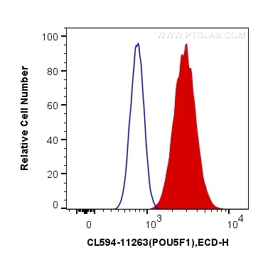 Flow cytometry (FC) experiment of Jurkat cells using CoraLite®594-conjugated OCT4 Polyclonal antibody (CL594-11263)