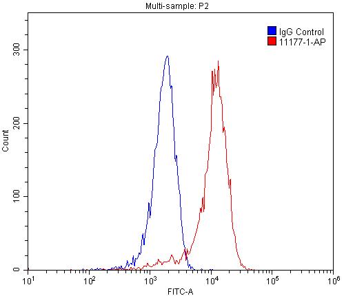 Flow cytometry (FC) experiment of HEK-293 cells using OGFR Polyclonal antibody (11177-1-AP)