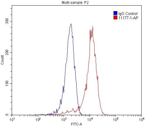 Flow cytometry (FC) experiment of HEK-293 cells using OGFR Polyclonal antibody (11177-1-AP)