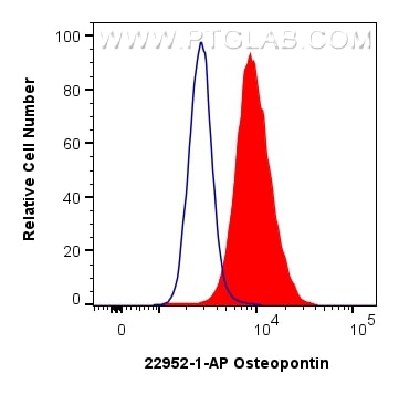 FC experiment of HepG2 using 22952-1-AP