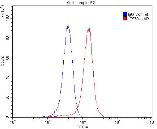 FC experiment of SH-SY5Y using 12970-1-AP