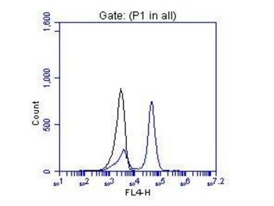 Flow cytometry (FC) experiment of hESC cells using OTX2 Polyclonal antibody (13497-1-AP)