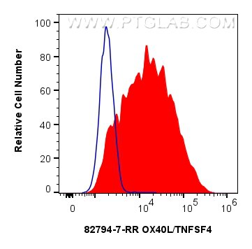 Flow cytometry (FC) experiment of MJ cells using OX40L/TNFSF4 Recombinant antibody (82794-7-RR)