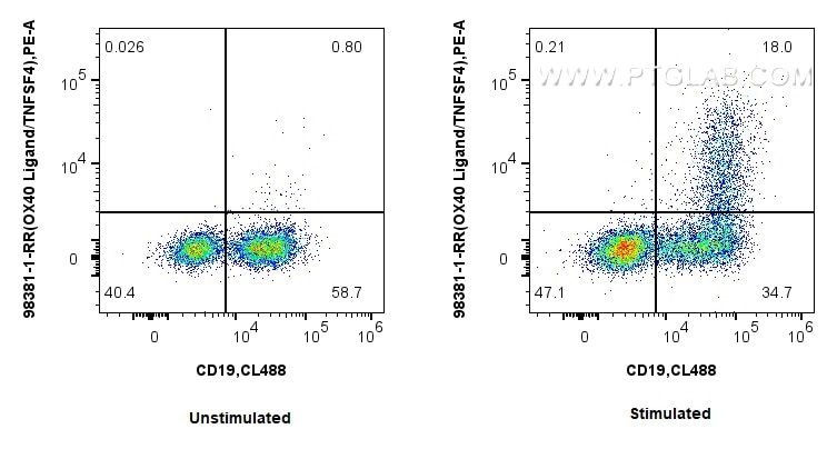 Flow cytometry (FC) experiment of BALB/c  mouse splenocytes using Anti-Mouse OX40L/TNFSF4 Rabbit Recombinant Antibod (98381-1-RR)