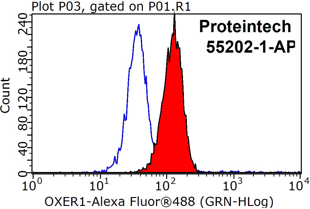 Flow cytometry (FC) experiment of K-562 cells using OXER1 Polyclonal antibody (55202-1-AP)