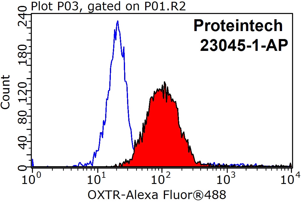 Flow cytometry (FC) experiment of Jurkat cells using OXTR Polyclonal antibody (23045-1-AP)