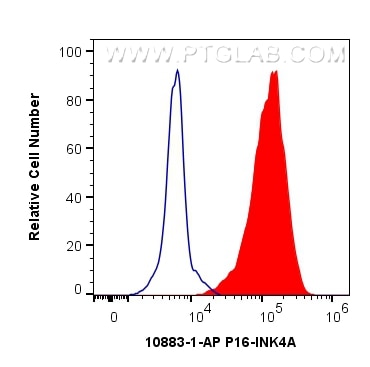 Flow cytometry (FC) experiment of HeLa cells using P16-INK4A Polyclonal antibody (10883-1-AP)