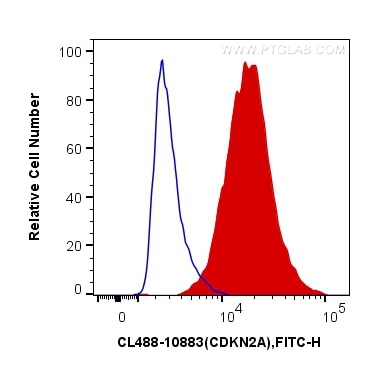 Flow cytometry (FC) experiment of HeLa cells using CoraLite® Plus 488-conjugated P16-INK4A Polyclonal (CL488-10883)