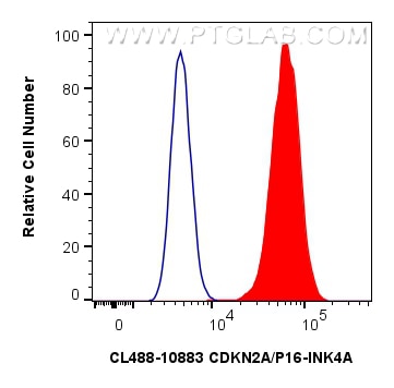 FC experiment of HeLa using CL488-10883 Flow cytometry (FC) experiment of HeLa cells using CoraLite® Plus 488-conjugated CDKN2A/P16-INK4A Pol (CL488-10883)
