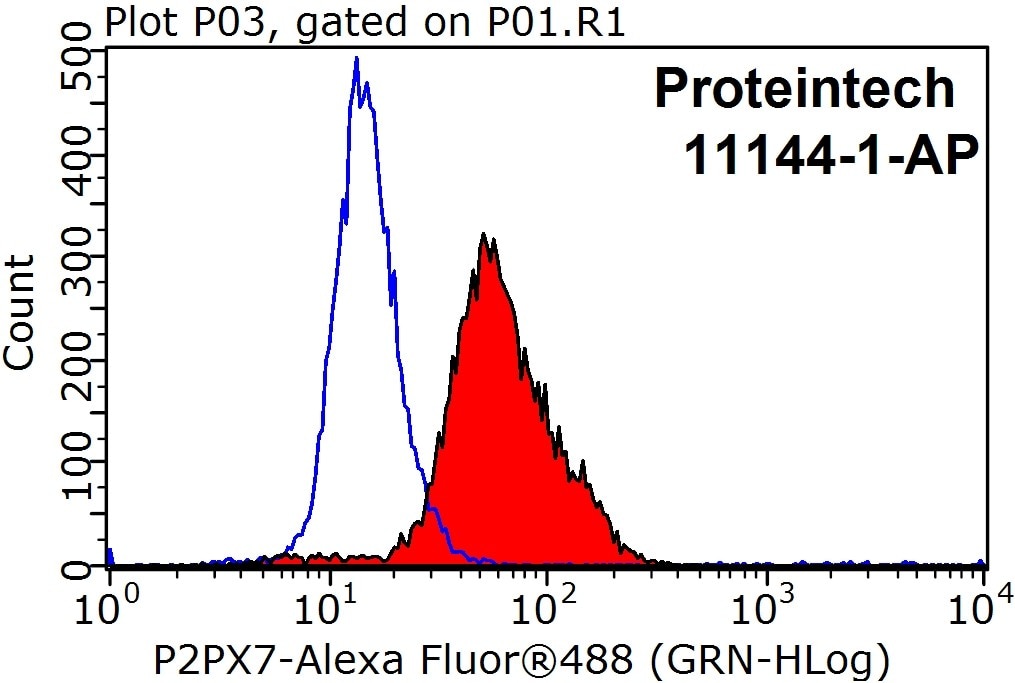 P2RX7 Polyclonal antibody