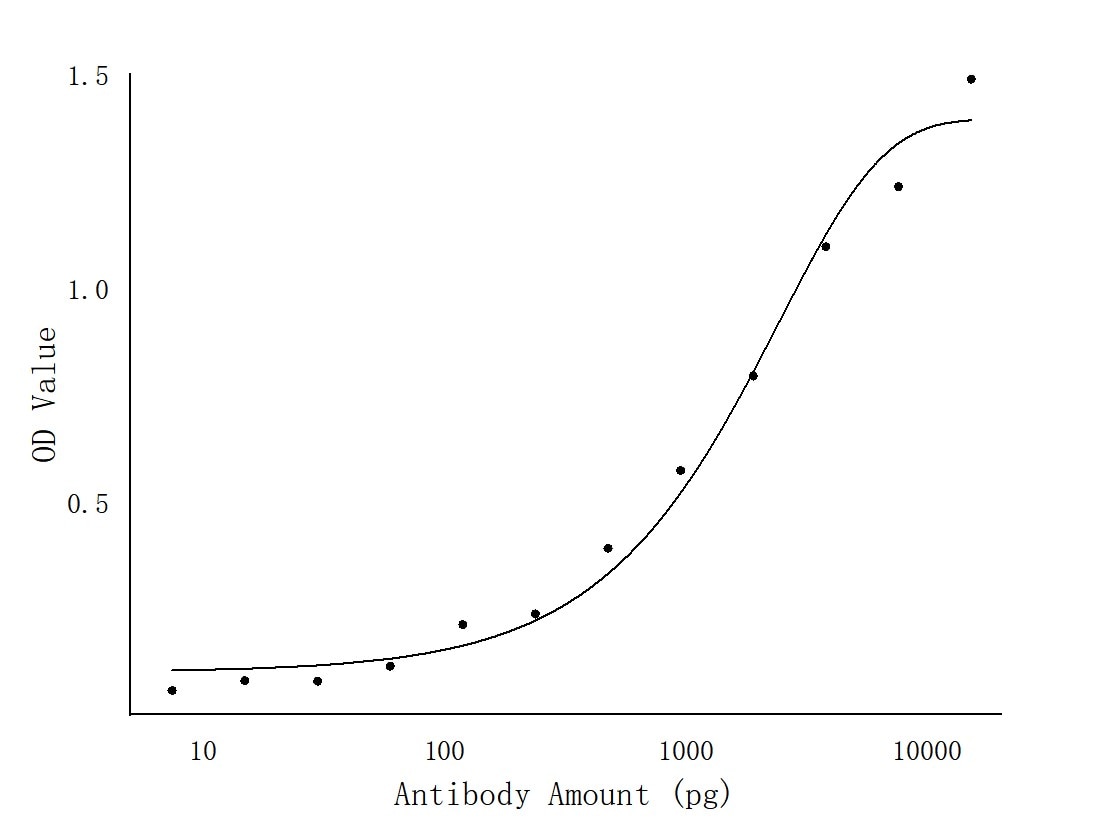 ELISA experiment of FusionProtein using P30 of ASFV Polyclonal antibody (29513-1-AP)