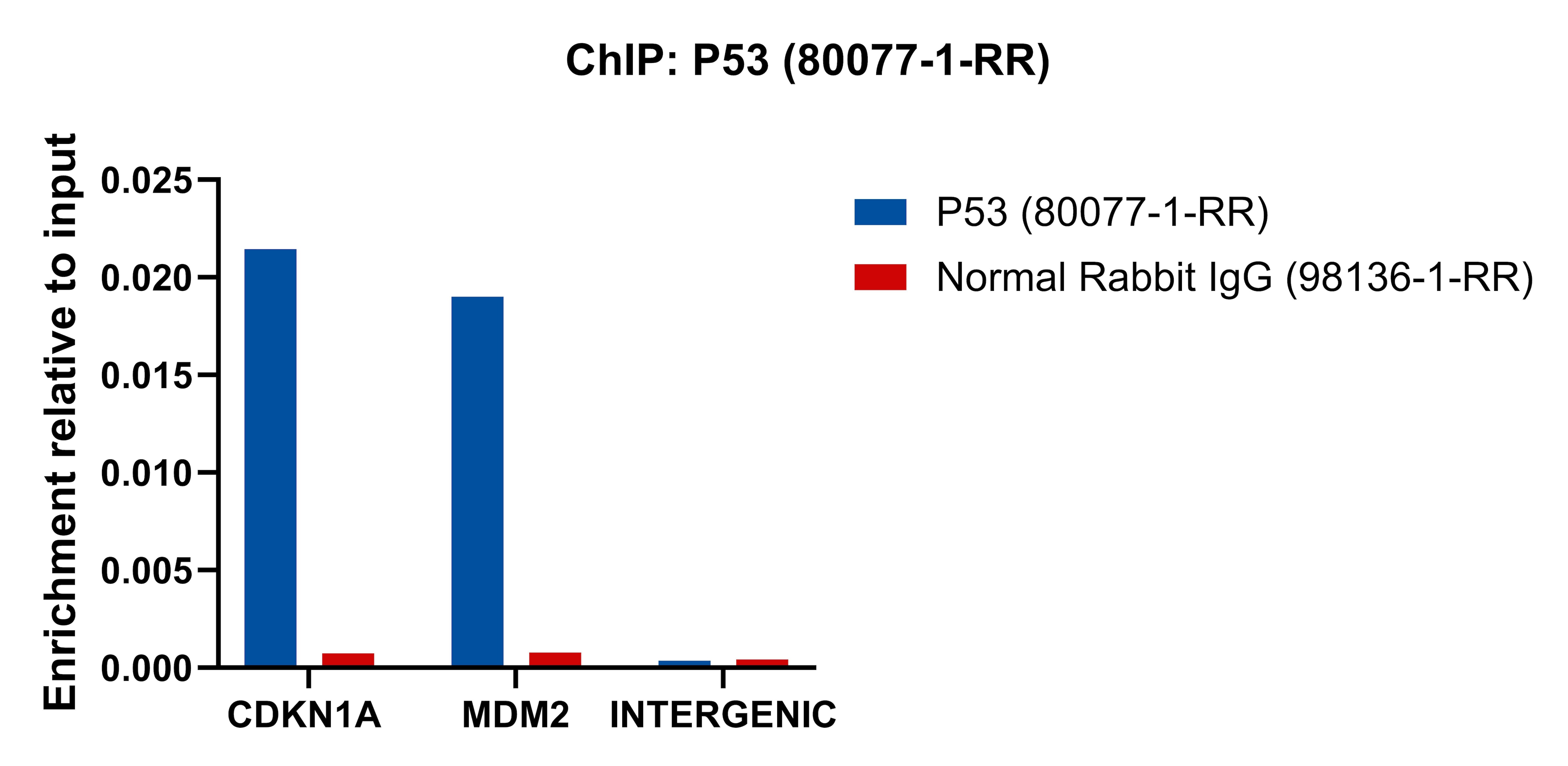 ChIP experiment of HCT 116 cells using P53 Recombinant monoclonal antibody (80077-1-RR)