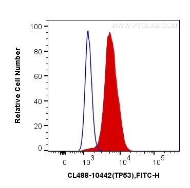 Flow cytometry (FC) experiment of A431 cells using CoraLite® Plus 488-conjugated P53 Polyclonal antib (CL488-10442)