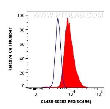 Flow cytometry (FC) experiment of HeLa cells using CoraLite® Plus 488-conjugated P53 Monoclonal antib (CL488-60283)