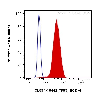 Flow cytometry (FC) experiment of A431 cells using CoraLite®594-conjugated P53 Polyclonal antibody (CL594-10442)