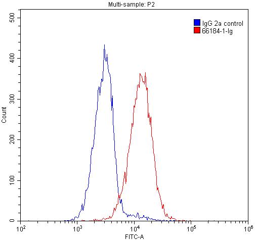 Flow cytometry (FC) experiment of Jurkat cells using P62,SQSTM1 Monoclonal antibody (66184-1-Ig)
