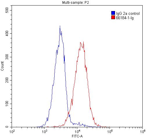 FC experiment of Jurkat using 66184-1-Ig