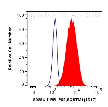 Flow cytometry (FC) experiment of Jurkat cells using P62,SQSTM1 Recombinant antibody (80294-1-RR)