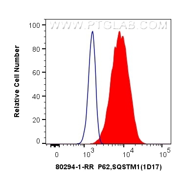 FC experiment of Jurkat using 80294-1-RR