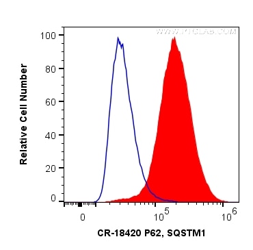 Flow cytometry (FC) experiment of HeLa cells using Cardinal Red™-conjugated P62,SQSTM1 Polyclonal ant (CR-18420)