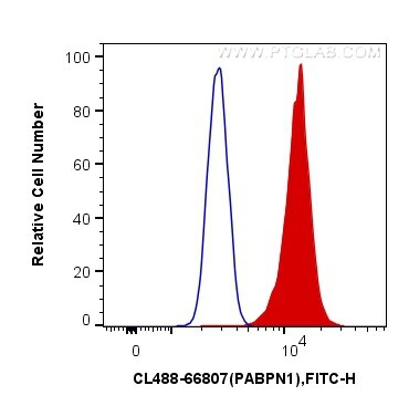 Flow cytometry (FC) experiment of HeLa cells using CoraLite® Plus 488-conjugated PABPN1 Monoclonal an (CL488-66807)