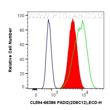 Flow cytometry (FC) experiment of HeLa cells using CoraLite®594-conjugated PADI2 Monoclonal antibody (CL594-66386)