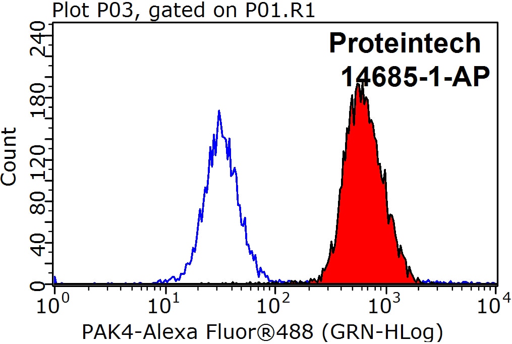 Flow cytometry (FC) experiment of HeLa cells using PAK4 Polyclonal antibody (14685-1-AP)