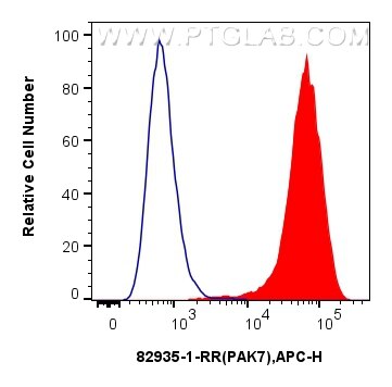Flow cytometry (FC) experiment of K-562 cells using PAK7 Recombinant antibody (82935-1-RR)