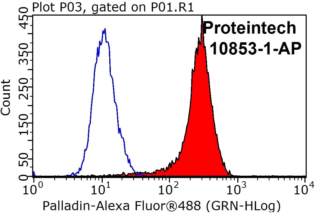 Flow cytometry (FC) experiment of HeLa cells using Palladin Polyclonal antibody (10853-1-AP)