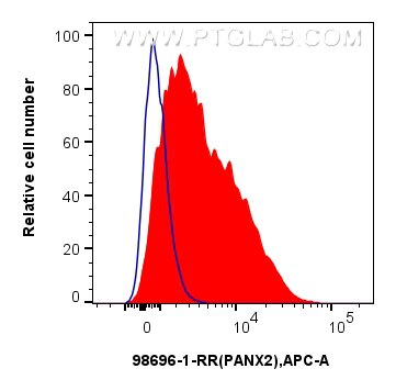 Flow cytometry (FC) experiment of Caco-2 cells using Anti-Human PANX2 Rabbit Recombinant Antibody (98696-1-RR)