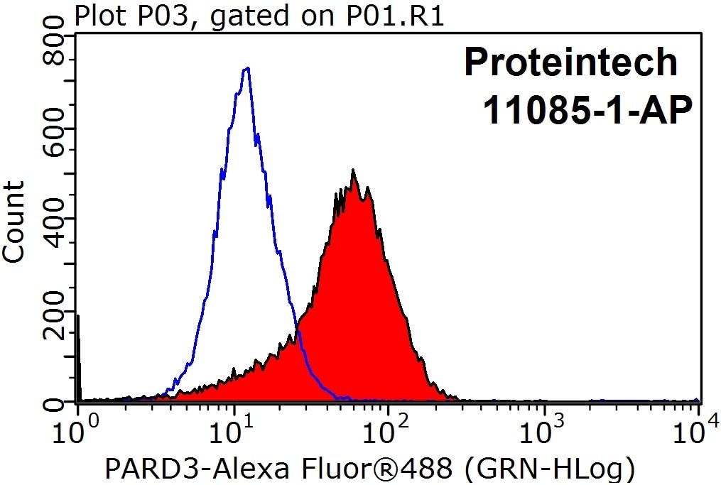 Flow cytometry (FC) experiment of MCF-7 cells using PARD3 Polyclonal antibody (11085-1-AP)