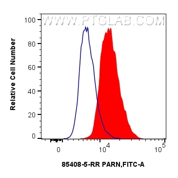 FC experiment of A431 using 85408-5-RR Flow cytometry (FC) experiment of A431 cells using PARN Recombinant monoclonal antibody (85408-5-RR)