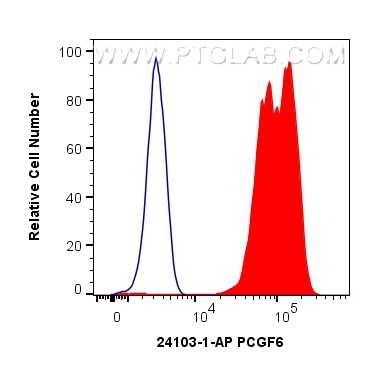 Flow cytometry (FC) experiment of HEK-293T cells using PCGF6 Polyclonal antibody (24103-1-AP)