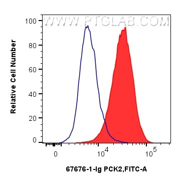 Flow cytometry (FC) experiment of HepG2 cells using PCK2 Monoclonal antibody (67676-1-Ig)