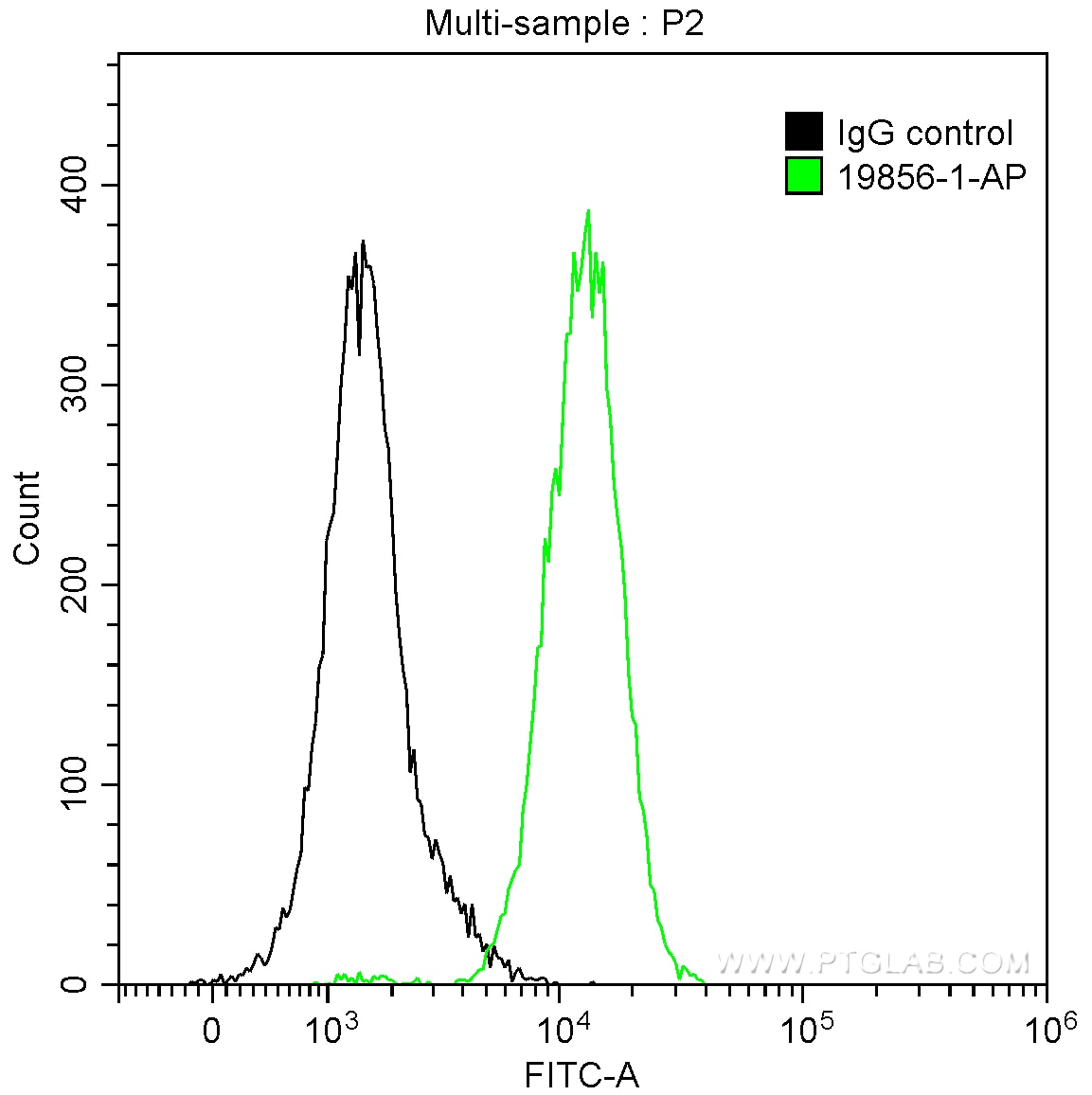 FC experiment of HepG2 using 19856-1-AP