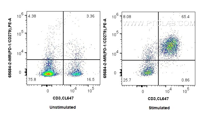 1x10^6 untreated or anti-CD3/CD28 treated mouse splenocytes were surface stained with 0.25 ug Anti-Mouse PD-1/CD279 (RMP1-14) Mouse IgG2a RecAb (65684-2-MR, Clone:RMP1-14) and PE-conjugated Goat Anti-Mouse IgG2a. Cells were then stained with CoraLite® Plus 647 Anti-Mouse CD3. Cells were not fixed. This data was developed using the same antibody clone with 65684-2-PBS in a different storage buffer formulation. Flow cytometry (FC) experiment of mouse splenocytes using Anti-Mouse PD-1/CD279 (RMP1-14) Mouse IgG2a Recomb (65684-2-MR)