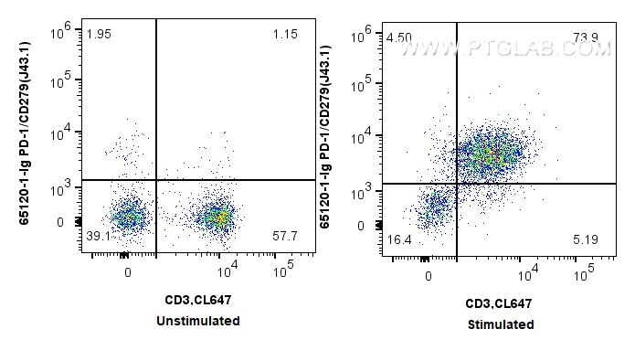 Flow cytometry (FC) experiment of mouse splenocytes using Anti-Mouse PD-1/CD279 (J43.1) (65120-1-Ig)