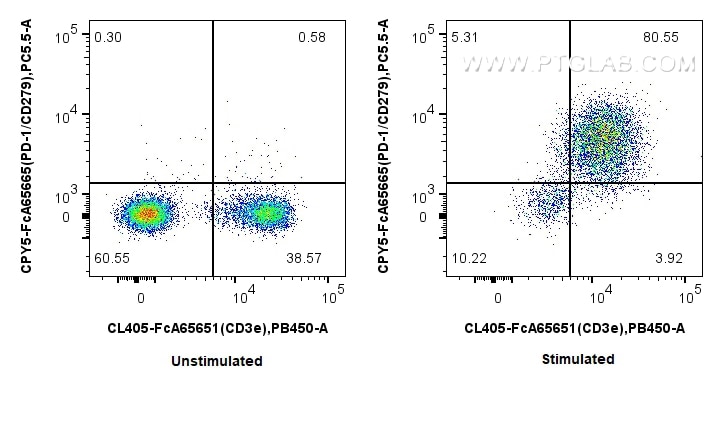 FC experiment of mouse splenocytes using CPY5-FcA65665 Flow cytometry (FC) experiment of mouse splenocytes using FcZero-rAb® PerCP-Cyanine5.5 Anti-Mouse PD-1/CD279 (CPY5-FcA65665)