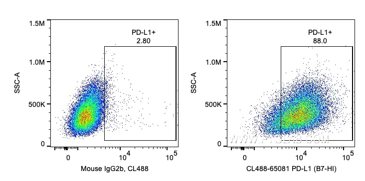 Flow cytometry (FC) experiment of human PBMCs using CoraLite® Plus 488 Anti-Human PD-L1 (B7-H1) (29E.2 (CL488-65081)