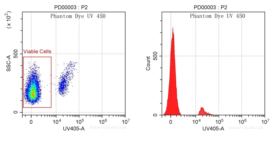 Mouse thymocytes cells were heat killed at 65℃ for 10 minutes and then mixed with live mouse thymocytes cells. Cells were then stained with Phantom Dye UV 450 Viability Dye. Viable gate is indicated.