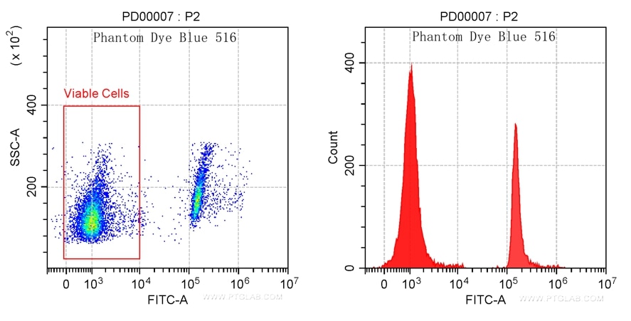 Mouse thymocytes cells were heat killed at 65℃ for 10 minutes and then mixed with live mouse thymocytes cells. Cells were then stained with Phantom Dye Blue 516 Viability Dye. Viable gate is indicated.