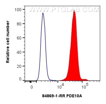 Flow cytometry (FC) experiment of HeLa cells using PDE10A Recombinant antibody (84869-1-RR)
