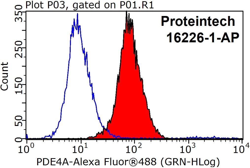 Flow cytometry (FC) experiment of SH-SY5Y cells using PDE4A Polyclonal antibody (16226-1-AP)