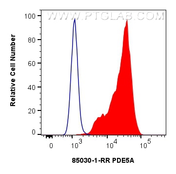 Flow cytometry (FC) experiment of HEK-293 cells using PDE5A Recombinant antibody (85030-1-RR)