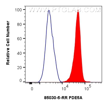 Flow cytometry (FC) experiment of HEK-293 cells using PDE5A Recombinant monoclonal antibody (85030-5-RR)