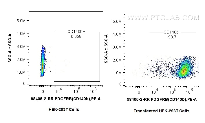 PDGFR beta/CD140b