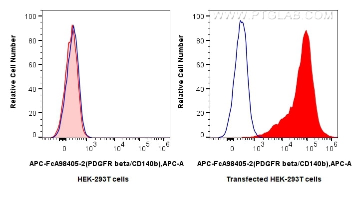 Flow cytometry (FC) experiment of Transfected HEK-293T cells using FcZero-rAb® APC Anti-Human PDGFR beta/CD140b Rabbi (APC-FcA98405-2)