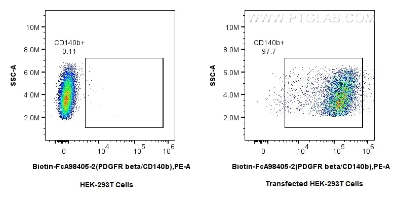 FC experiment of Transfected HEK-293T using Biotin-FcA98405-2 Flow cytometry (FC) experiment of Transfected HEK-293T cells using FcZero-rAb® Biotin Anti-Human PDGFR beta/CD140b Ra (Biotin-FcA98405-2)